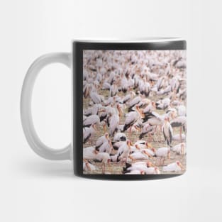 Yellow Billed Storks - Lake Manyara Mug